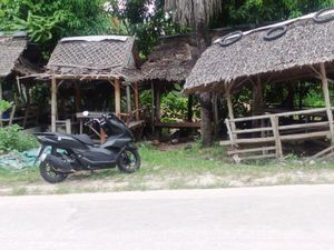  at Mama Pooh's Kitchen in Koh Phangan