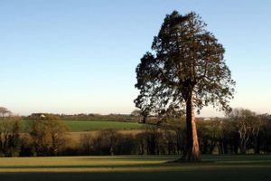 with views across the Welsh countryside at Over the Rainbow in Cardigan