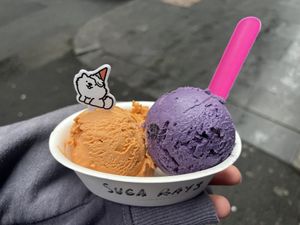   at Suga Rays in Melbourne