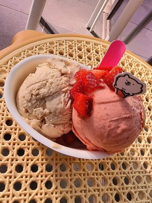  at Suga Rays in Melbourne