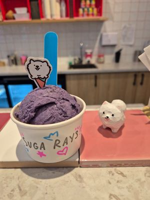 Ube single scoop $6.80: great creamy texture, noticeable taste of ube initially, but then not much at Suga Rays in Melbourne