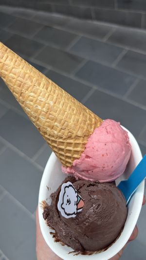 Chocolate and strawberry with waffle cone  at Suga Rays in Melbourne