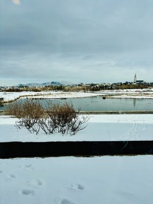 Views  at Plantan Bístró in Reykjavik