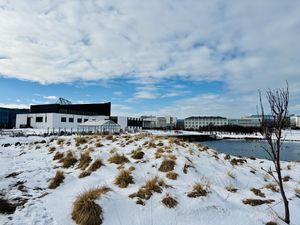 Exterior and park  at Plantan Bístró in Reykjavik