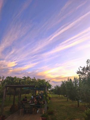  at Green Taste di Silvia Fiori  in Cecina