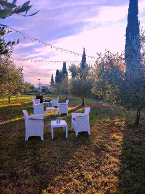  at Green Taste di Silvia Fiori  in Cecina