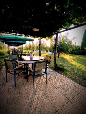  at Green Taste di Silvia Fiori  in Cecina