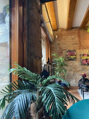   at Bubita Bar in Barcelona