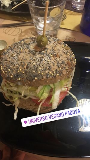 Vegan burger  at Veganda in Padua