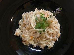 Fennel risotto at Veganda in Padua