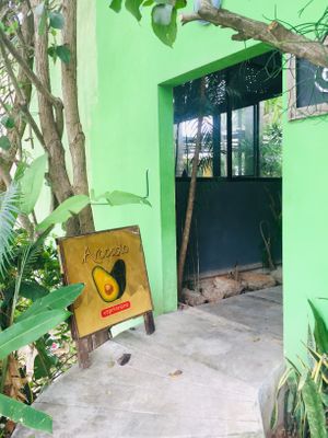 Restaurant Entry; Very Welcoming and cozy at Avocado Vegetariano - Santa Gertrudis Copo in Merida