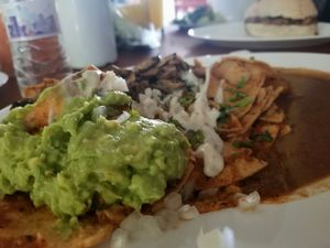 chilaquiles with extra giluacamole from my friends dish lol at Avocado Vegetariano - Santa Gertrudis Copo in Merida