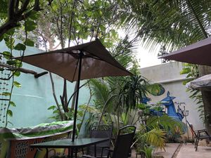 Terraza  at Avocado Vegetariano - Santa Gertrudis Copo in Merida