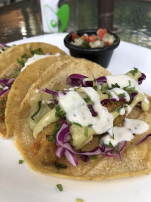 Avocado Tacos at Avocado Vegetariano - Santa Gertrudis Copo in Merida