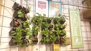 Before relocated Miss Green Restaurant at Miss Green - Dunhua in Taipei