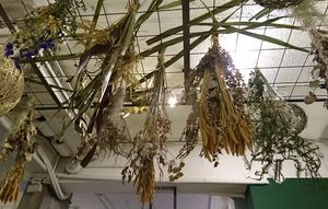   at Miss Green - Dunhua in Taipei