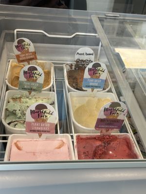 ‘Creamier’ non dairy options  at Sweetwater (Ice Cream) in North Carolina
