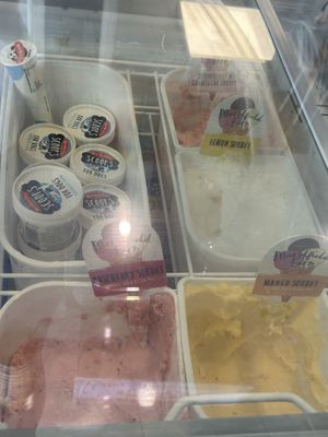 Sorbet options  at Sweetwater (Ice Cream) in North Carolina