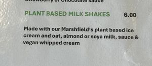 Non dairy Milkshake options  at Sweetwater (Ice Cream) in North Carolina