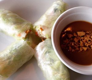 tofu spring rolls  at Lotus Vietnamese Cuisine in Duluth