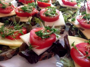 This is the correct picture regarding the catering of canapés. The other one is a catering of Buffalo-Mozzarella and fresh basil... at El Naturista in Frankfurt