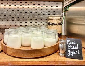 Yoghurts  at CASCADES in Dubai