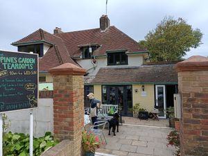  at The Pines Garden, Tea Room & Museum in England