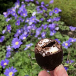 Vegan creme egg   at Considerit in Edinburgh