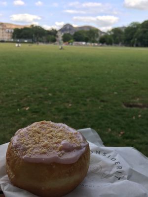 donut in the nearby park at Considerit in Edinburgh