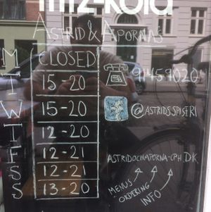 opening times 05/06/2017 at Astrid och Aporna - Astrid og Aberne in Copenhagen