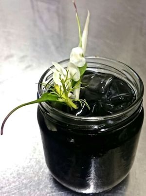 vodka e carbone  at Soda in Alba