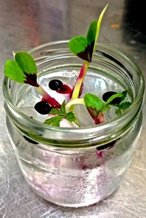 acetoselle e barbabietole  at Soda in Alba