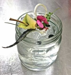 scarti di mela e gin  at Soda in Alba