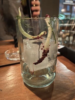 Big gin and tonic menu  at Soda in Alba