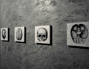 Soda at Soda in Alba