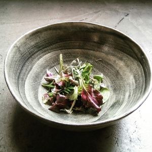 foraging  of the day ... at Soda in Alba