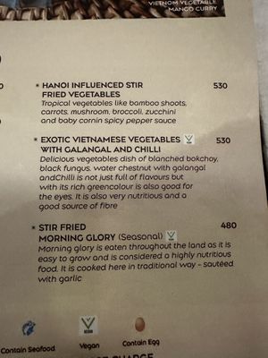 Maine  at VietNom Saket in New Delhi