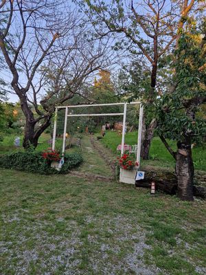  at Trattoria Gracco in Emilia-romagna