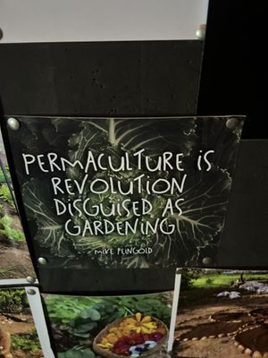 food comes from their perm farm yay :)))  at The Seeds of Life in Ubud