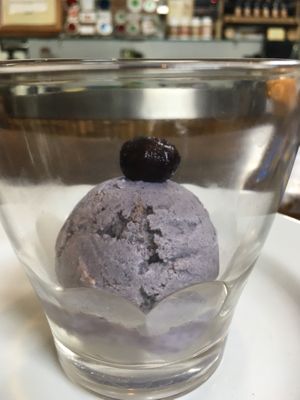 Vegan blueberry ice cream  at The Seeds of Life in Ubud