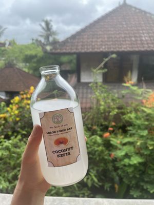 Their own kefir   at The Seeds of Life in Ubud