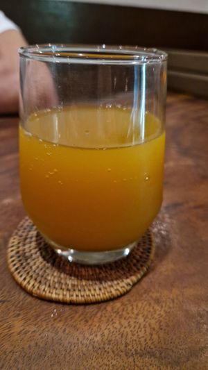 Kombucha at The Seeds of Life in Ubud