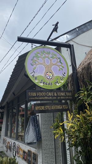   at The Seeds of Life in Ubud