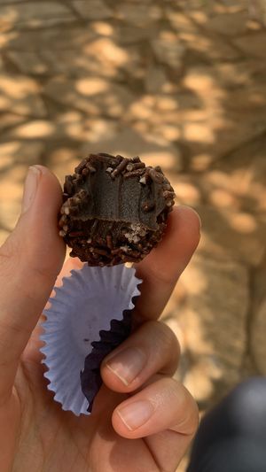 Brigadeiro  at VeGan-se in Brasilia
