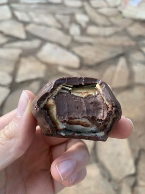 Bombom ferreiro   at VeGan-se in Brasilia