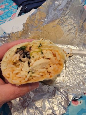 Vegan buffalo burrito at The Wild Burrito in Wildwood