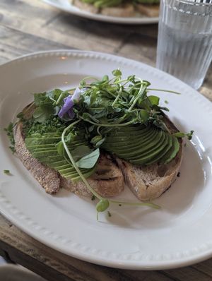  at Ground in Virginia