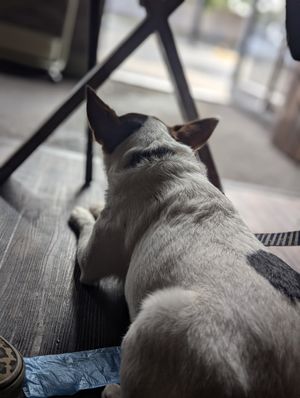  at Ground in Virginia