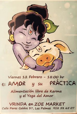 Yoga classes and organized brunches ... come by! at Zoe Food in Gran Canaria