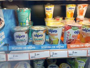 Vegan joghurts with flavours such as salted caramel, stracciatela, Pina Colada, various different fruit and plain at Hiper Centro Campos in Illes Balears